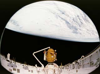 Shuttle payload bay view of Remote Manipulator System (RMS) deploying Docking Module.